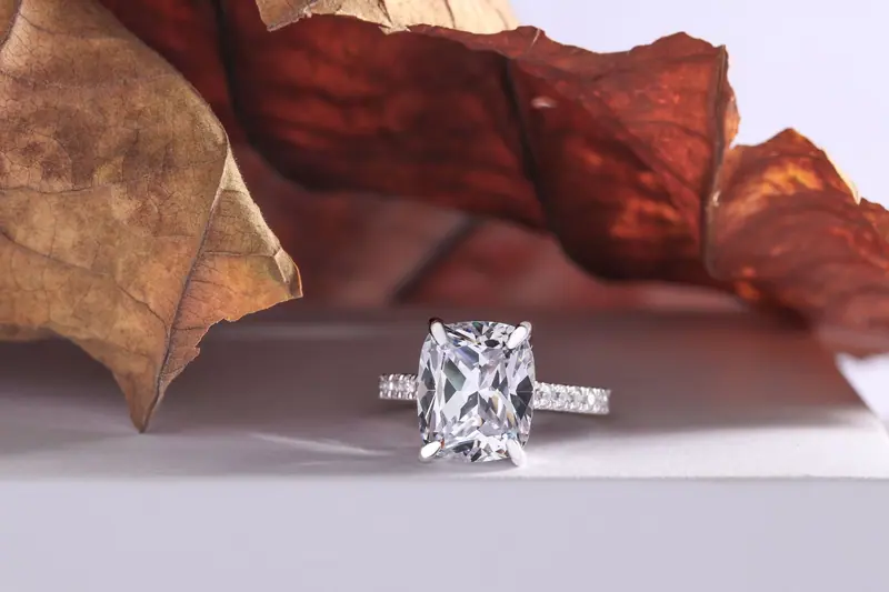 Cushion-cut halo engagement ring on a white surface beside dried leaves