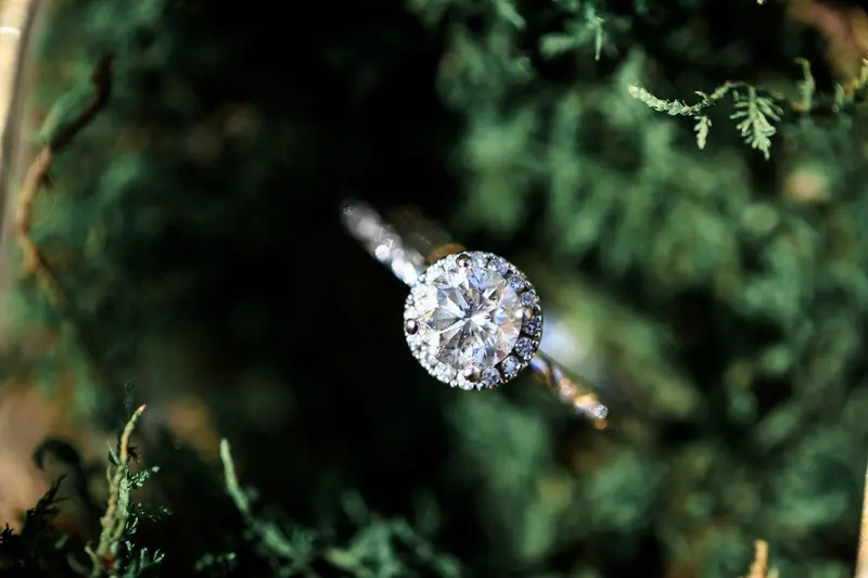 Round halo engagement ring sparkling among green foliage